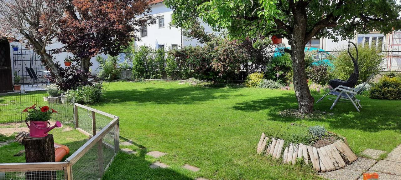 Ferienhaus Lina Neusiedl am See Exterior photo